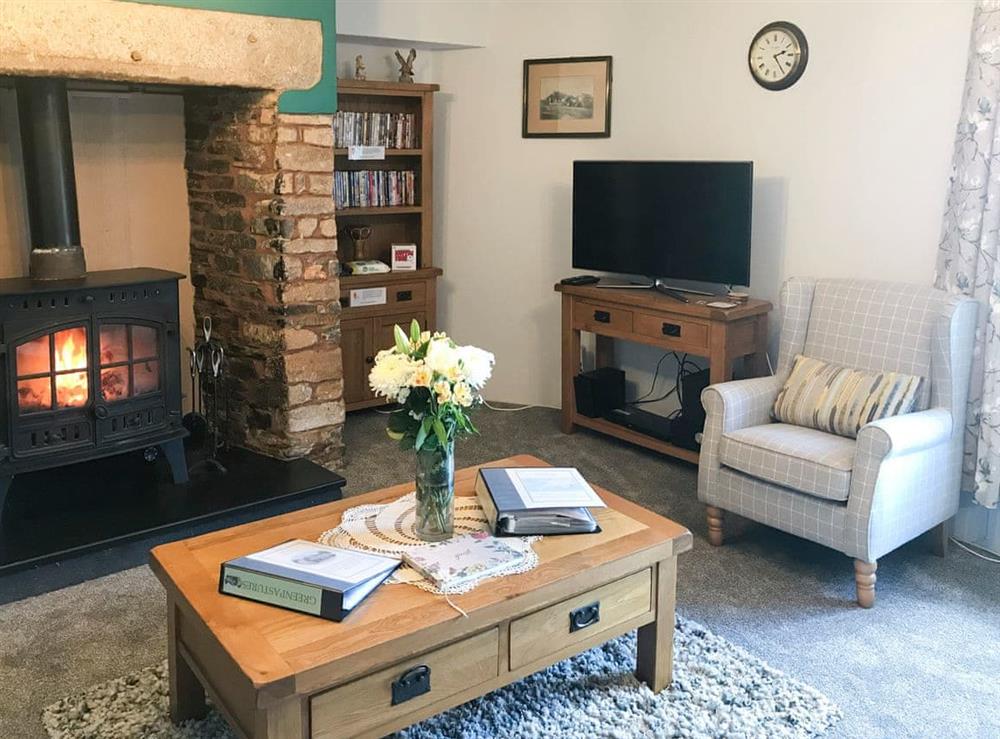 Comfortable living room with cosy wood burner at Greenpastures in Patchacott, near Okehampton, Devon