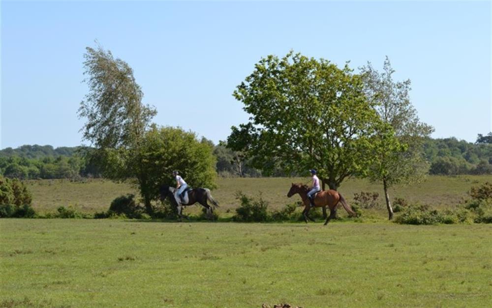 Horse Riding across Whitefield Moor at Greenwood in Brockenhurst