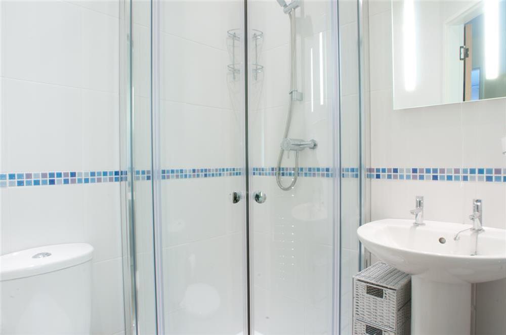 En suite shower room at Greystone in Hope Cove, Kingsbridge