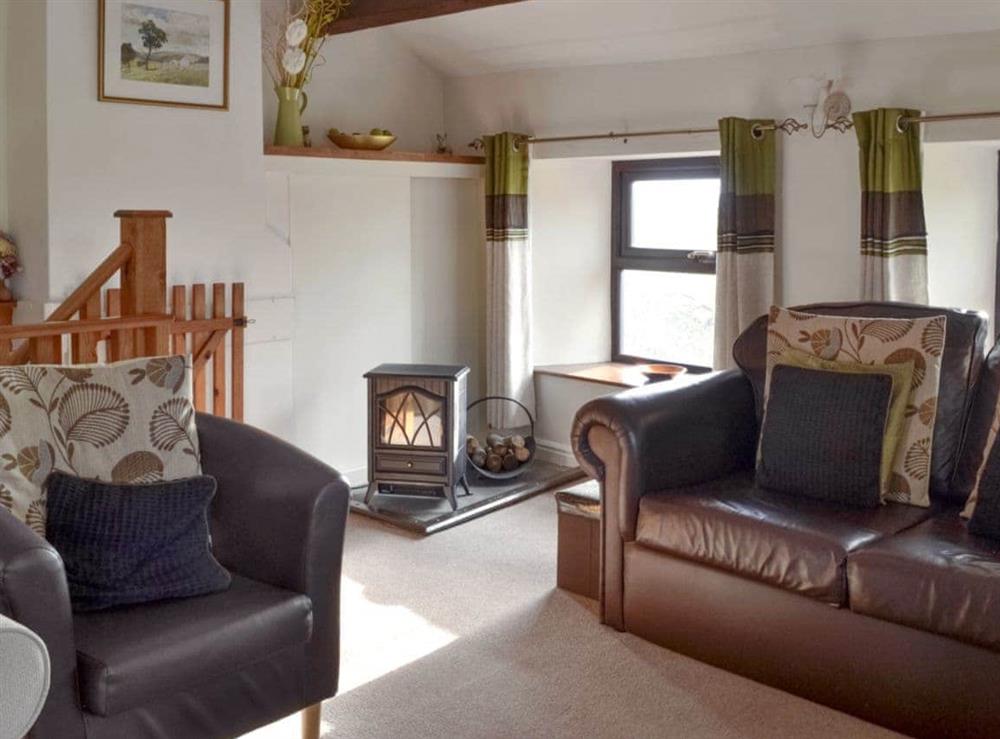 Warming wood-burner style fire in living room at Greystones Cottage in Simonstone, Nr Hawes, Yorkshire Dales