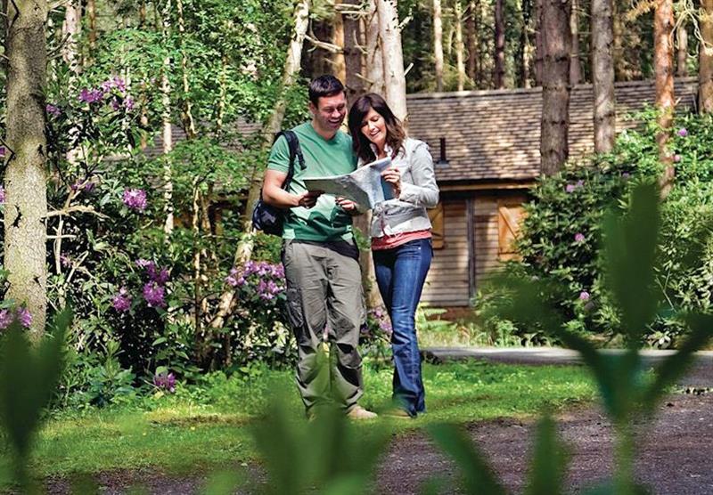 Walks and trails on your doorstep at Griffon Forest in Vale of York, North of England