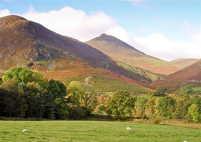 The area around Grisedale Cottage at Grisedale Cottage, Newlands Valley