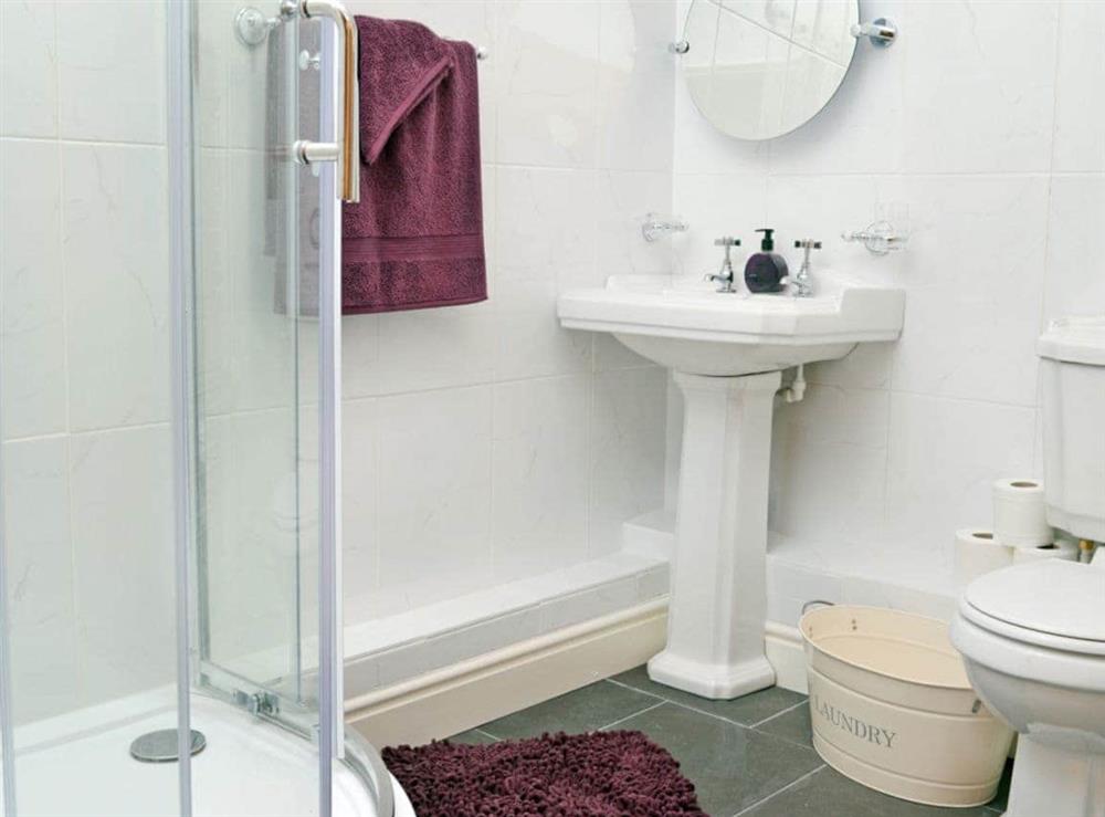 Bathroom (photo 2) at Golygfar Mynydd, 