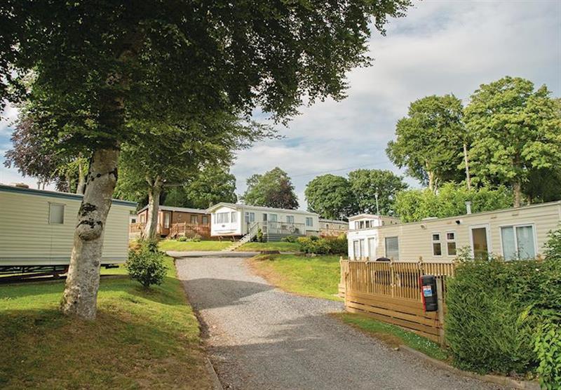 The park setting at Grondre Holiday Park in Clunderwen, Nr Narberth