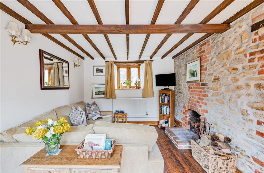 The cosy sitting area with open fire