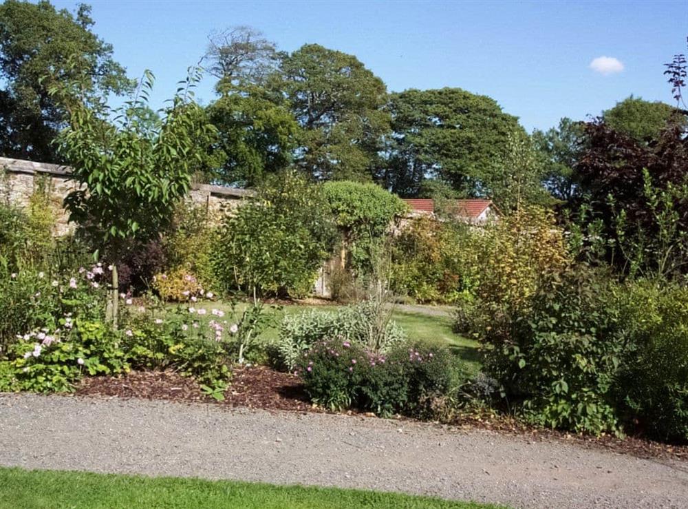 Garden at Groom’s Cottage in Webbery, Nr Bideford, North Devon., Great Britain