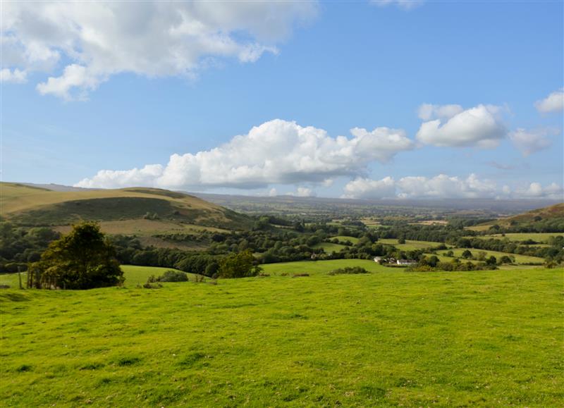 Rural landscape