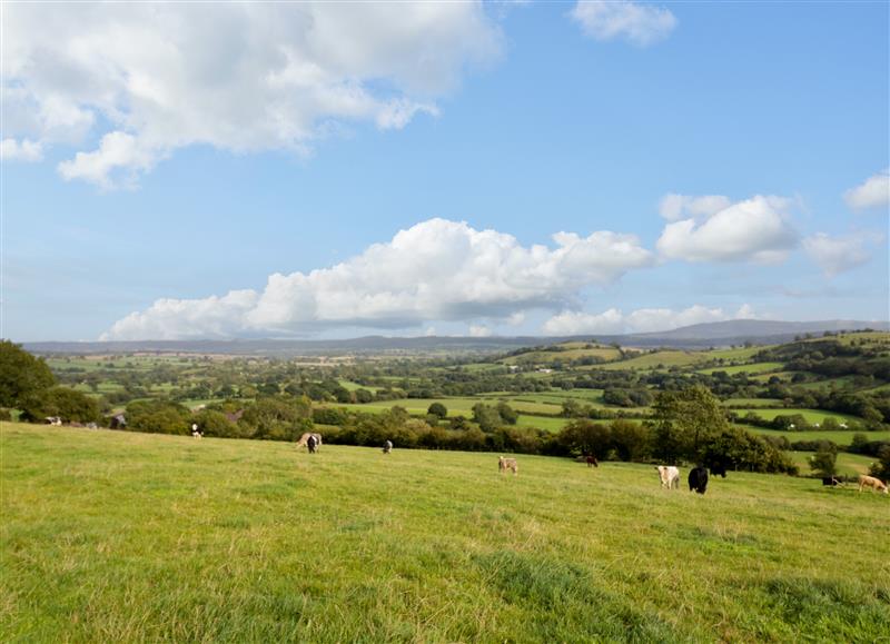 The area around Grove Farm