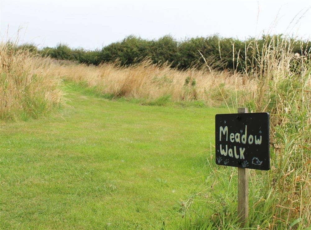 Meadow walk at Guillemot Cottage in Buckton, near Flamborough, North Humberside