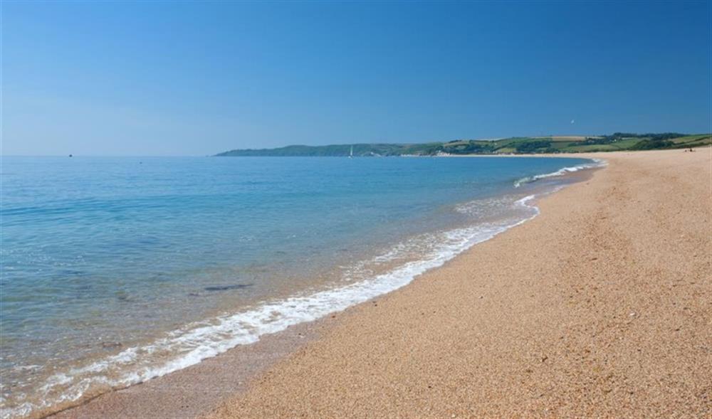 Gorgeous Slapton Sands-a 10-15 minute walk away at Gull Cottage in Slapton