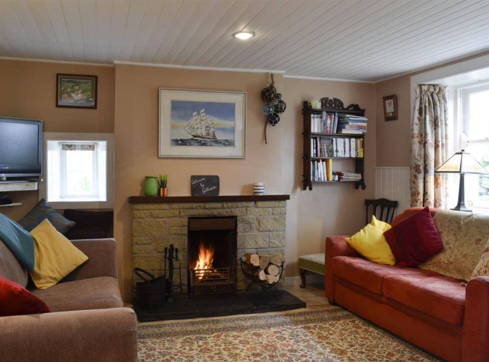 Comfortable lounge with 28” Freesat TV at Gullieside Cottage in Kirkandrews, near Kirkcudbright, Kirkcudbrightshire