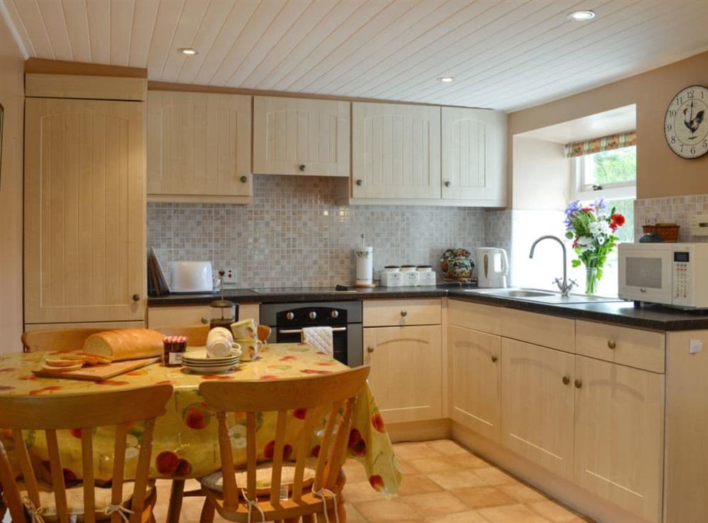 Well-equipped kitchen and dining area at Gullieside Cottage in Kirkandrews, near Kirkcudbright, Kirkcudbrightshire