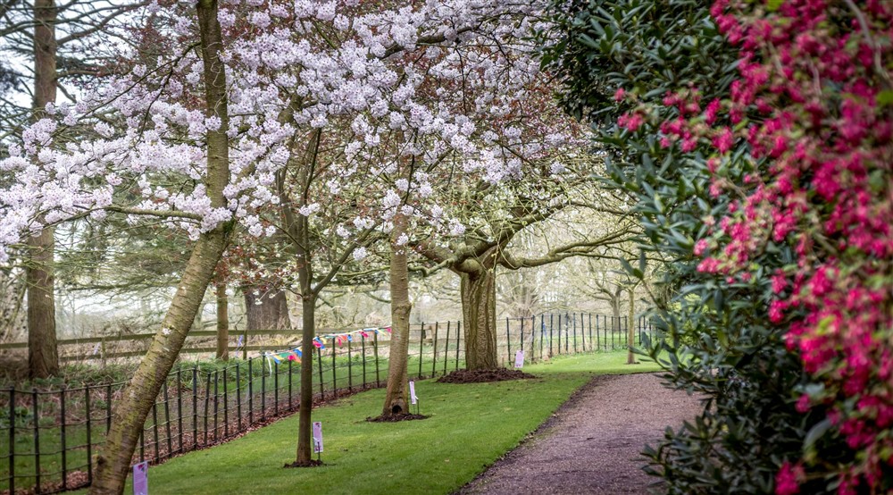 Spring blossoms at Gunby Old Rectory in Skegness, Lincolnshire