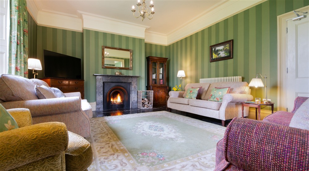 The sitting room with open fire, sofas, armchair and television at Gunby Old Rectory in Skegness, Lincolnshire