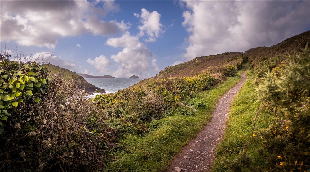 The coastal path by Port Quin, Cornwall at Guy's Cottage in Port Quin, Cornwall