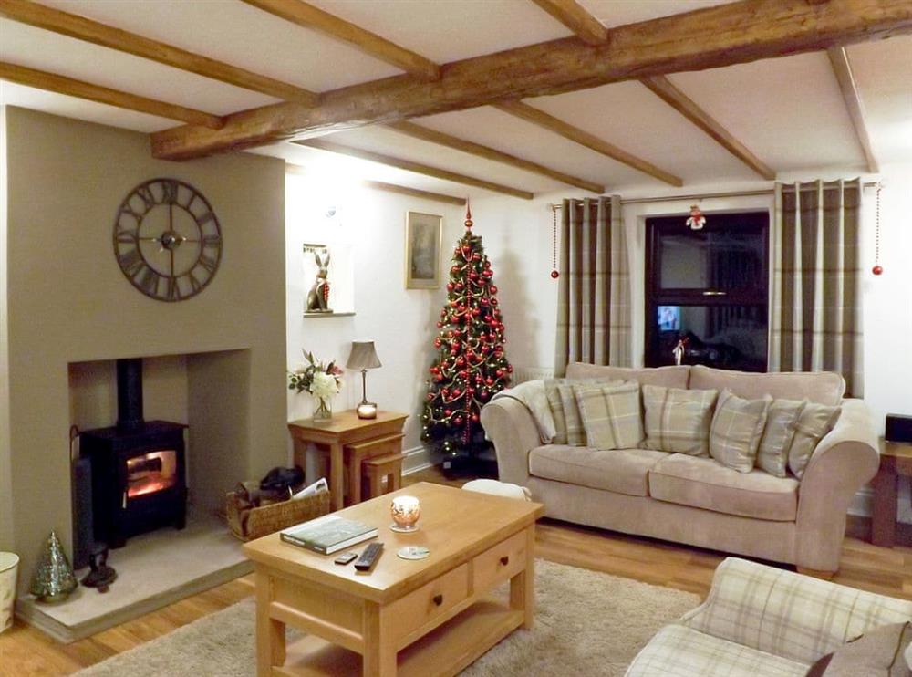 Living room decorated for Christmas at Gwar Nant Cottage in Llandovery, Dyfed