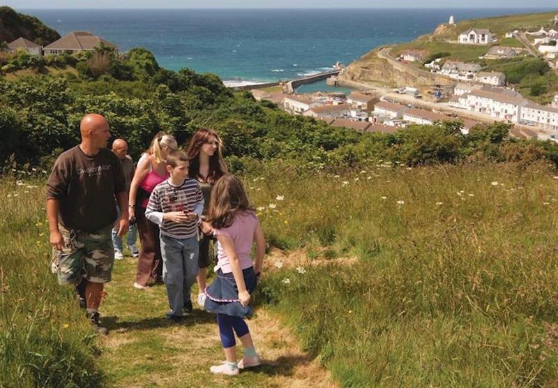 Wildlife walks (photo number 6) at Gwel an Mor in Tregea Hill, Portreath