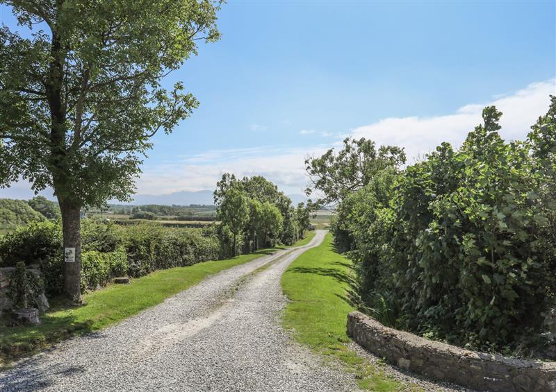 Rural landscape