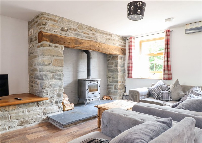 Enjoy the living room at Gwernffridd, Pennant near Llanbrynmair
