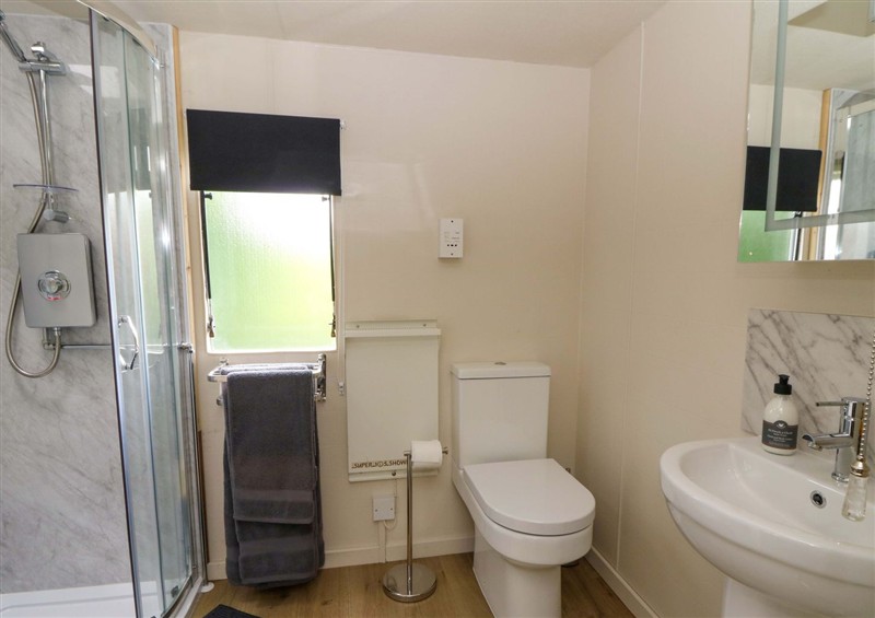 Bathroom at Gwybedog, Pumpsaint near Lampeter