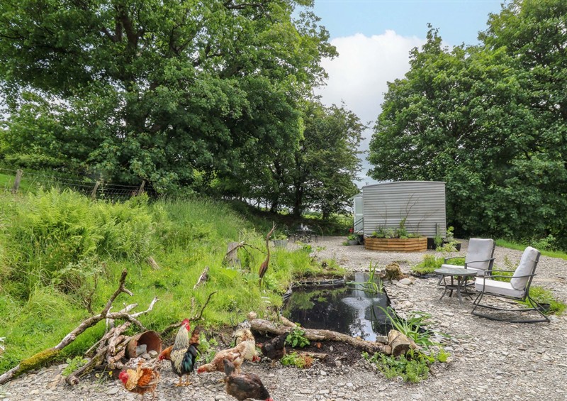 Enjoy the garden (photo 2) at Gwybedog, Pumpsaint near Lampeter