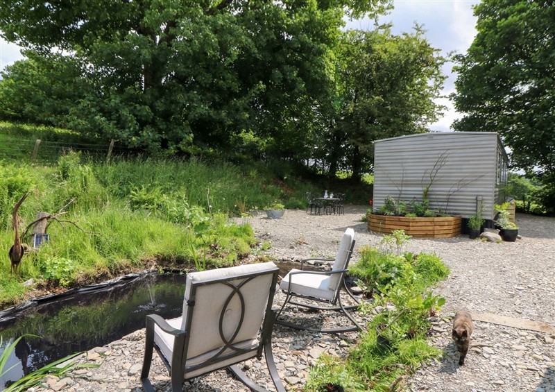 Enjoy the garden at Gwybedog, Pumpsaint near Lampeter