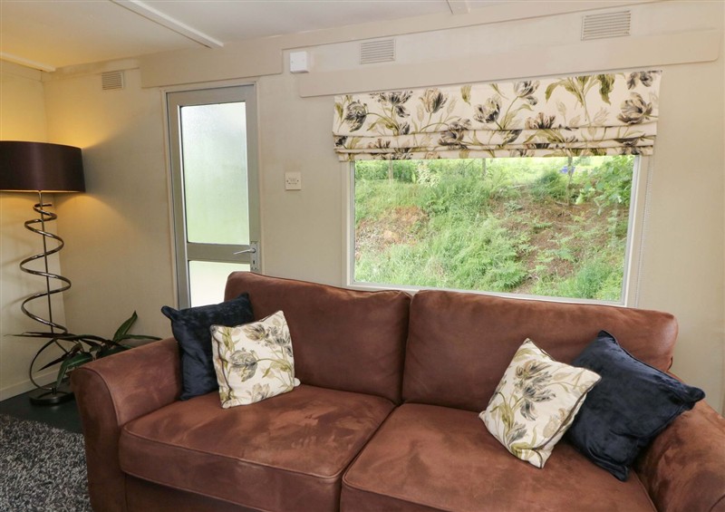 Relax in the living area at Gwybedog, Pumpsaint near Lampeter
