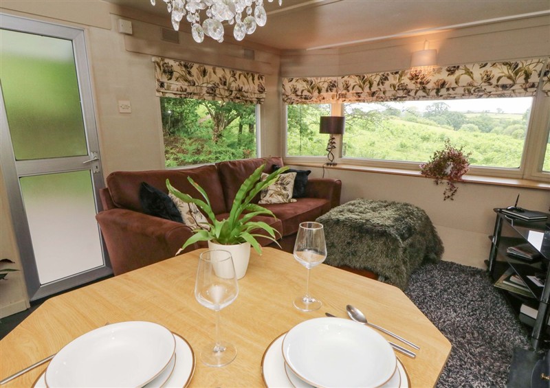 The living area (photo 2) at Gwybedog, Pumpsaint near Lampeter