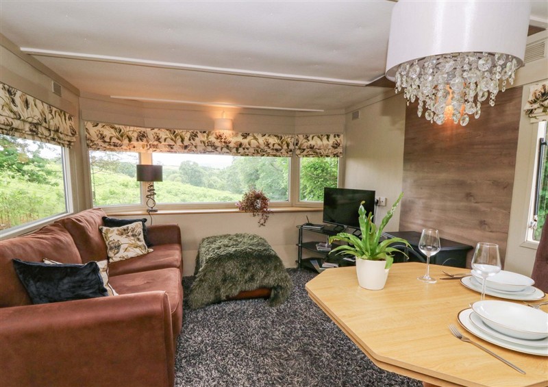 The living room at Gwybedog, Pumpsaint near Lampeter