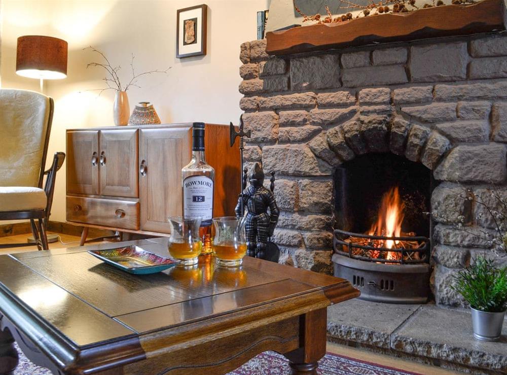 Cosy living room with open fire (photo 2) at Haagwood Cottage in Kilberry, near Tarbert, Argyll