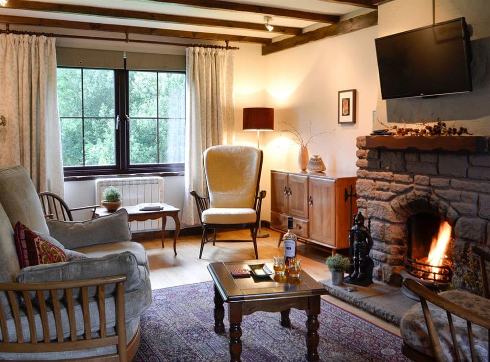 Cosy living room with open fire at Haagwood Cottage in Kilberry, near Tarbert, Argyll