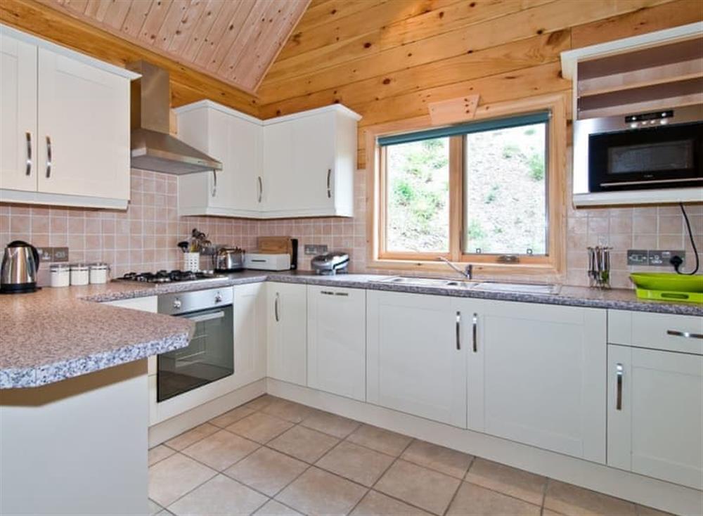 Kitchen (photo 2) at Hadleigh Lodge in Padstow & Wadebridge, North Cornwall