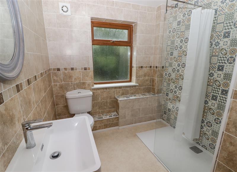 Bathroom at Hafan Dawel, Star near Newcastle Emlyn