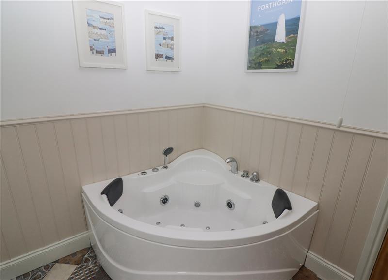 The bathroom at Hafan Dawel, Star near Newcastle Emlyn