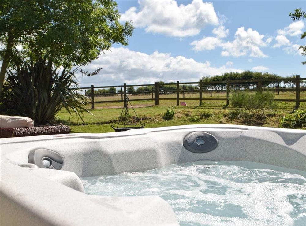 Hot tub (photo 2) at Hafan Fach Cottage in Stackpole, Dyfed