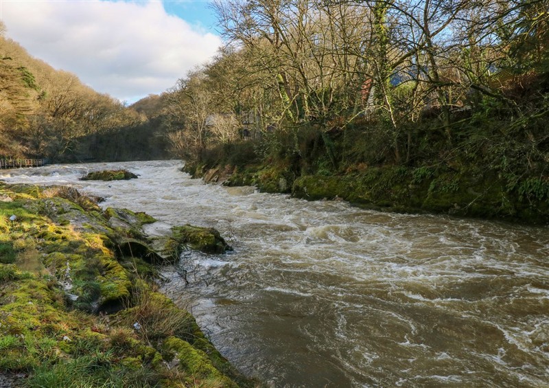 In the area at Hafan Y Gof, Cenarth