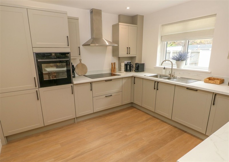 This is the kitchen (photo 3) at Hafan Y Gof, Cenarth