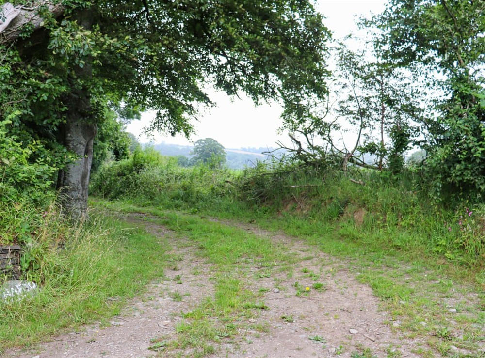 Surrounding area at Hafod Fach in Moylegrove, near Preseli Hills, Dyfed