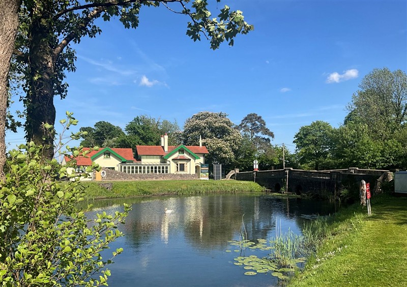 The garden at Hafod Lodge, Hensol near Pontyclun