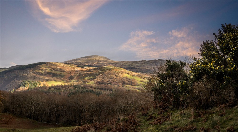 The surrounding area at Hafod Y Fedw in Llanelltyd, Gwynedd
