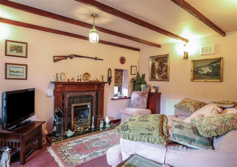 Enjoy the living room at Hafoty Boeth Cottage, Corwen