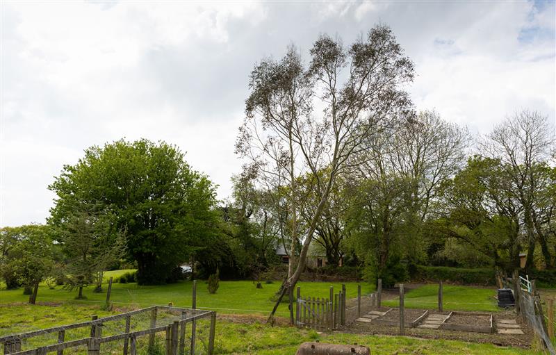 The area around Halcyon Cottage (photo 4) at Halcyon Cottage, Torrington