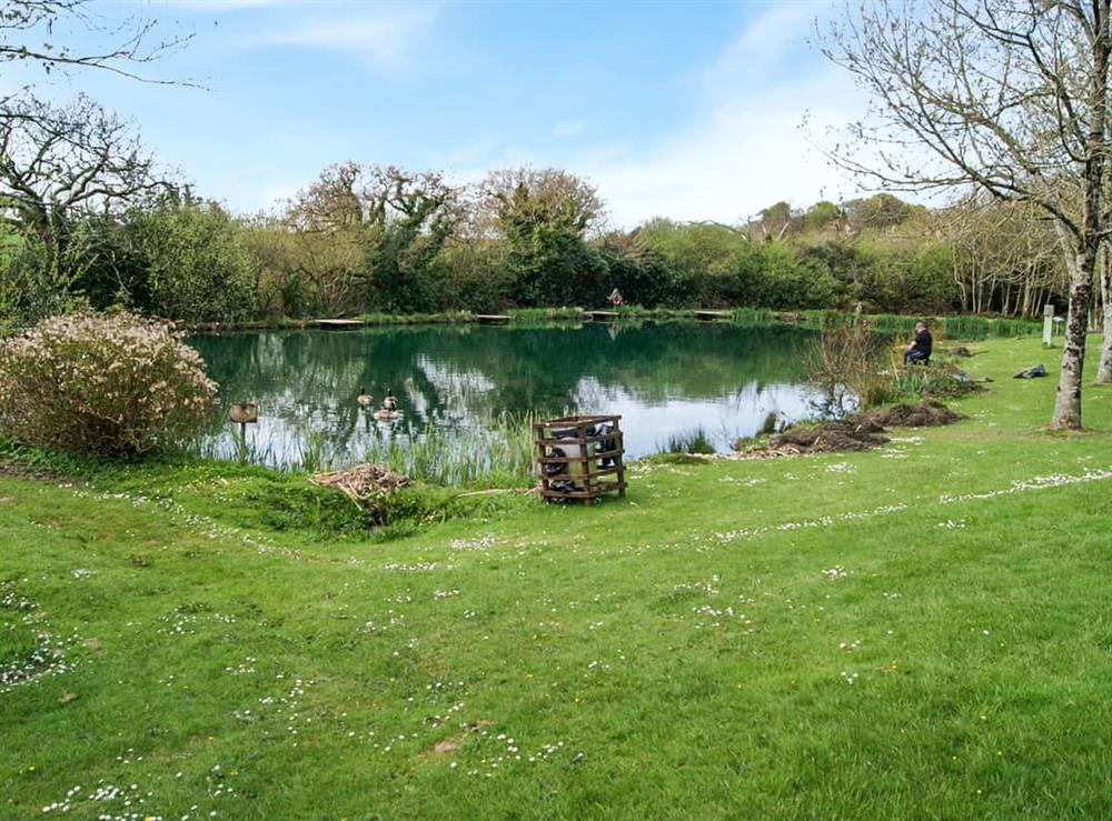 Surrounding area at Halcyons Rest in St. Tudy, near Bodmin, Cornwall