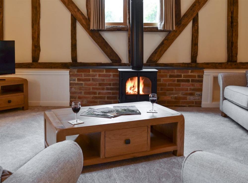 Cosy living room with wood burning stove at Hale Barn in Chiddingly, near Hailsham, East Sussex