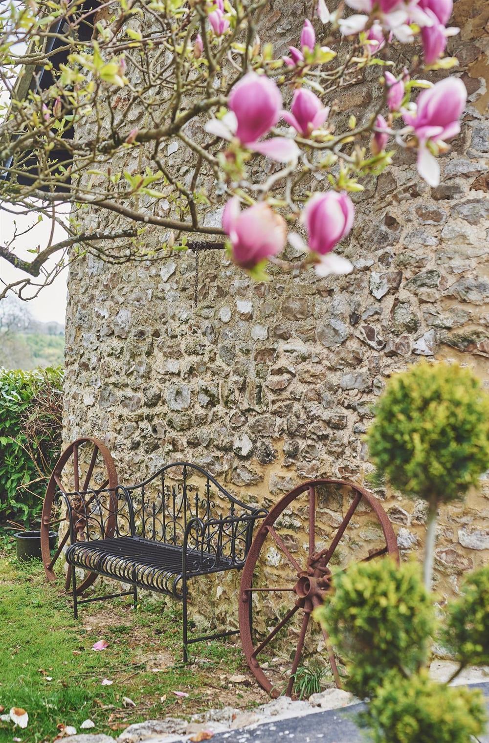 A bench below the tree