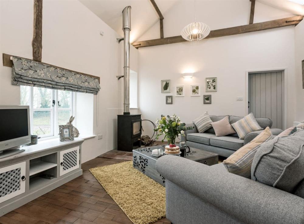 Cosy living room with wood burner & vaulted ceiling at Hall Farm Barn in Lamas, near Buxton, Norfolk