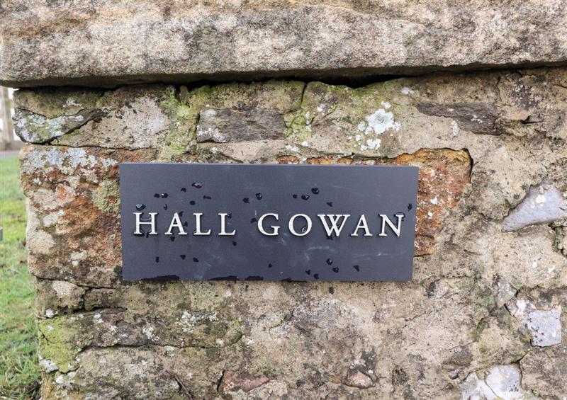 The garden at Hall Gowan, Carnforth