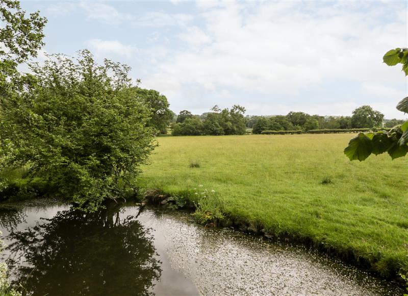 Rural landscape (photo 2) at Halls Mill, Huntington