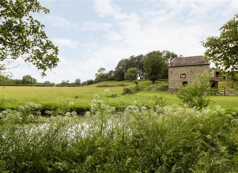 The area around Halls Mill (photo 2) at Halls Mill, Huntington