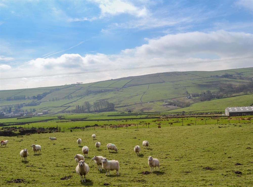 Surrounding countryside at Halstead Green Farm in Colden, near Hebden Bridge, Yorkshire, West Yorkshire